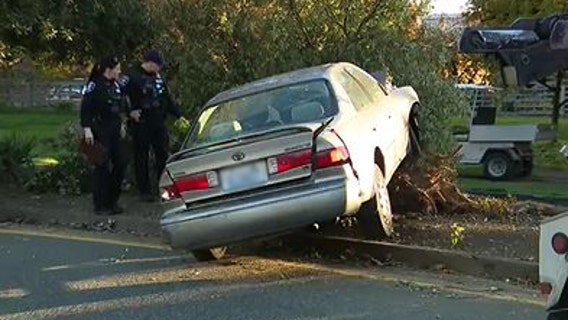 2 people in custody; 1 at-large after reports of shots fired near UW campus