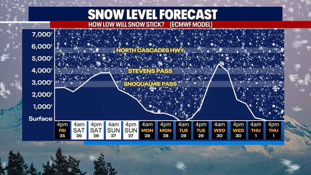 A wet Black Friday in the Puget Sound area