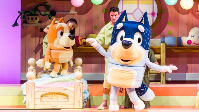 'Bluey' comes to life in first-ever live tour across US, capturing 'the joy of family'