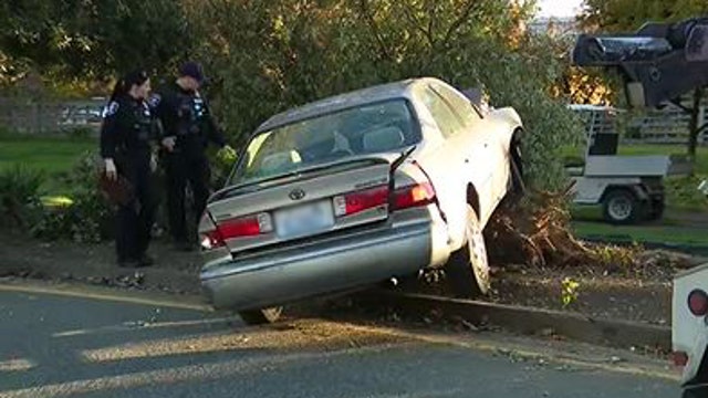 2 people in custody; 1 at-large after reports of shots fired near UW campus