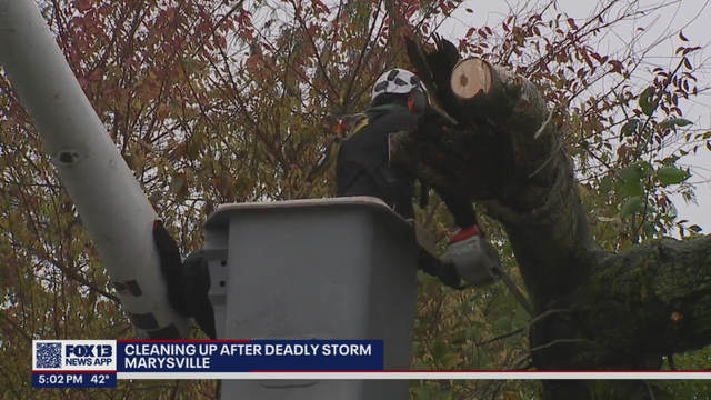 Over 26,000 customers without power in Snohomish County