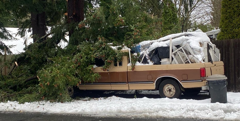 Cleanup underway after high winds, heavy snow down trees in the North Sound