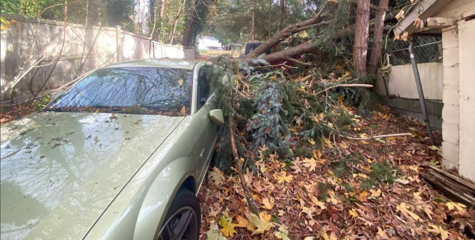 Lake Stevens sounded like war zone with trees coming down in Friday night  storm