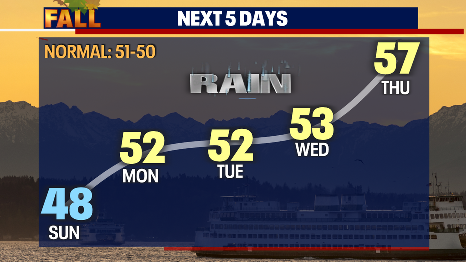 Updated NFL Weather Forecast: 3 Sunday Week 11 Games Expecting Cold, Windy  Conditions (November 20)