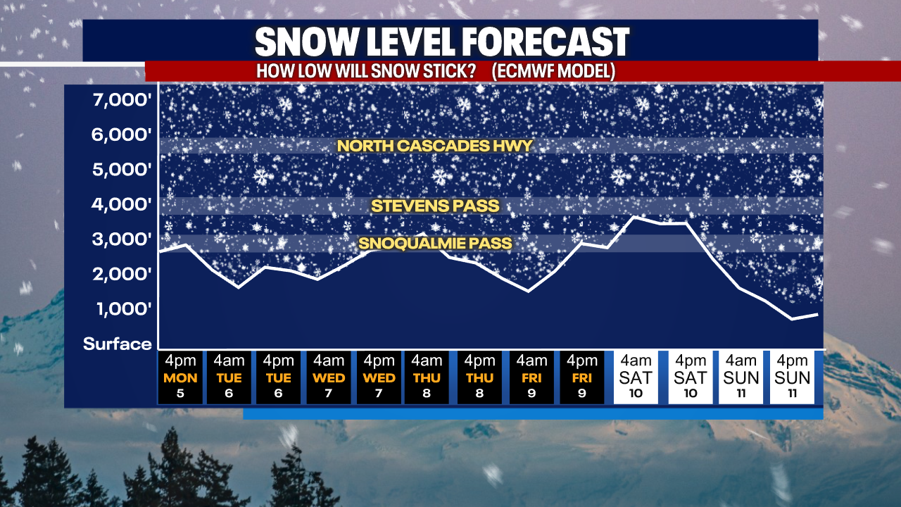 Seattle weather Break from the snow? Mainly dry, a bit warmer the next