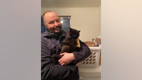 Olympia man reunited with cat 'Precious' after van stolen in October