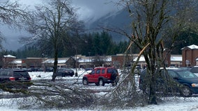Freezing rain impacts last minute Christmas shoppers, travelers in North Bend