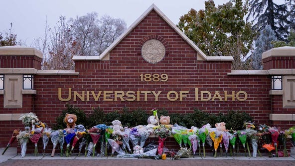 University of Idaho could see 'collapsing enrollment' unless police solve students' murders, lawmaker says