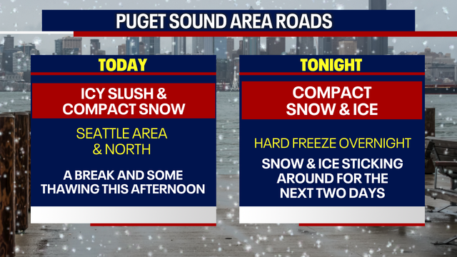 Seattle weather: Snow day for some in Western Washington, chilly rain for others