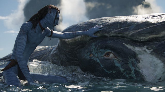 'Avatar: The Way of Water' earns more than $1 billion in global ticket sales