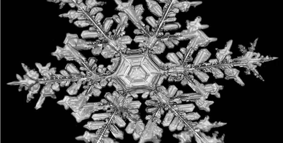 スキー SNOWBLEADES BY SNOWFEAT Artik Fun 36
