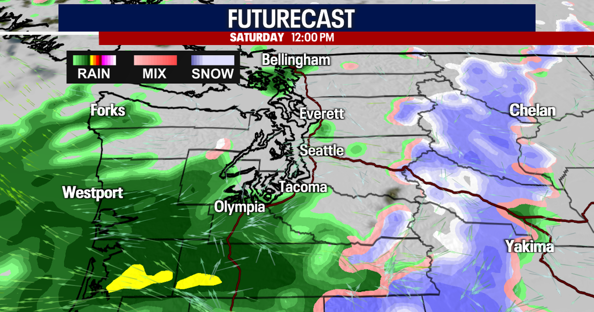 Damp, cozy and cloudy weekend ahead | FOX 13 Seattle