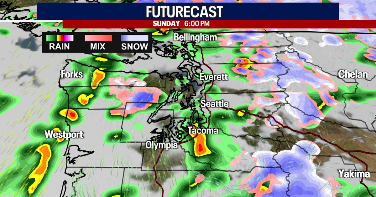 Seattle weather: Rainy and gusty into Monday | FOX 13 Seattle