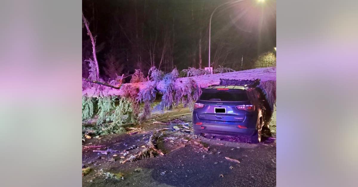 High winds knock down trees, cause power outages across Puget Sound ...