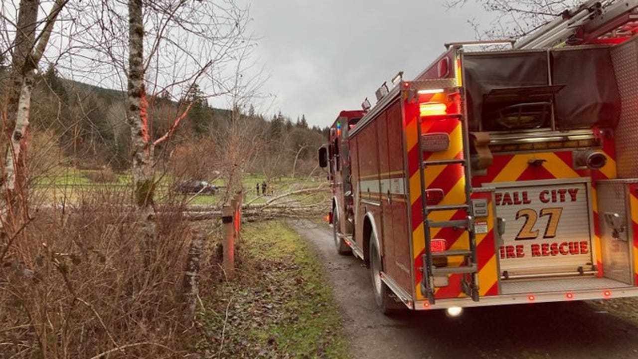 Woman Killed By Falling Tree In Fall City | FOX 13 Seattle