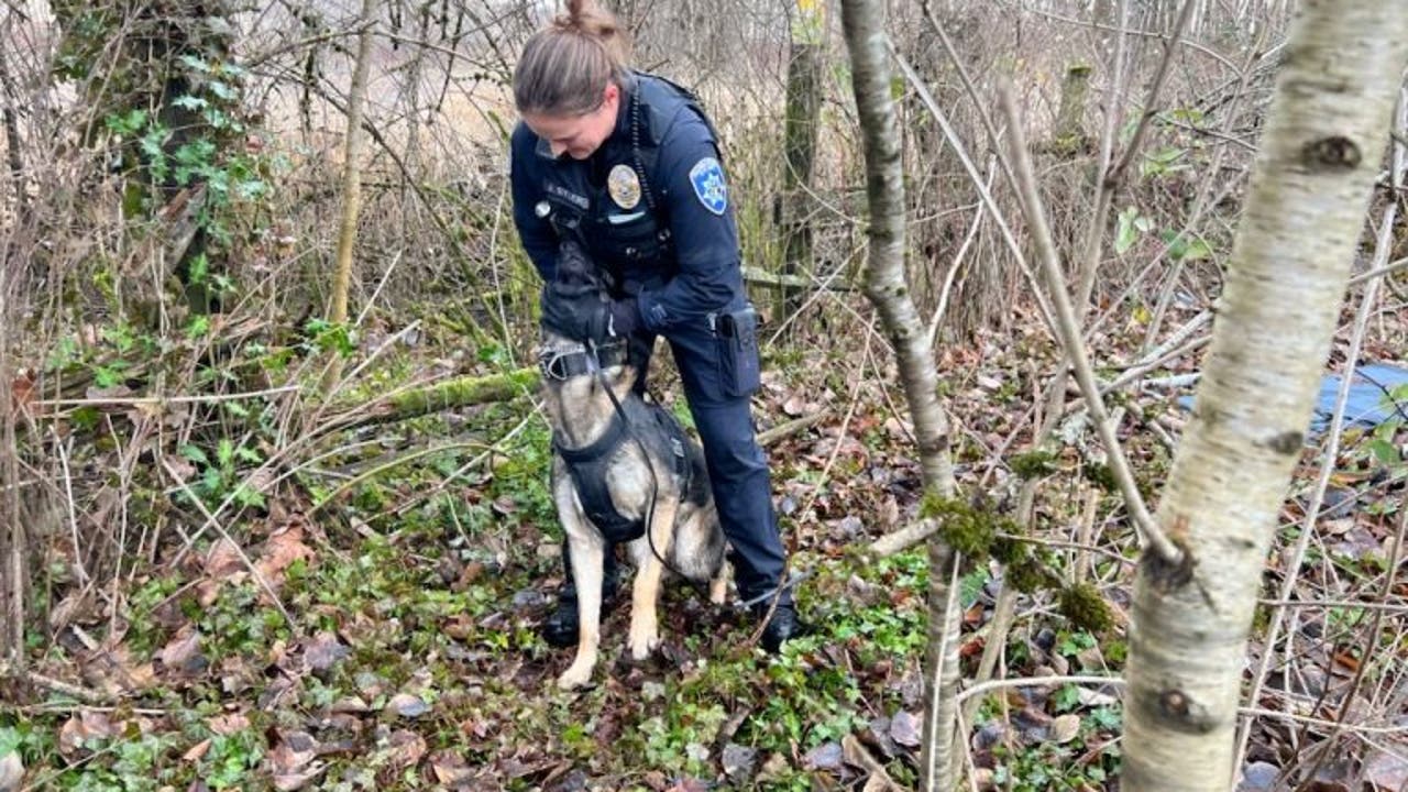 K9 Patrol Plane Lead To Arrest Of Suspected Car Thief Who Ran From Police Hid In The Woods