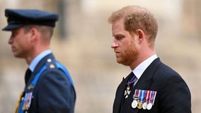 Prince Harry says William physically attacked him during argument, report says