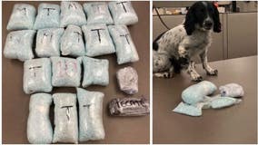 SPD detectives, Homeland Security agents recover thousands of fentanyl pills headed to Seattle