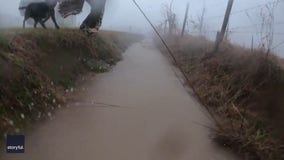 'Blessed to be alive': Watch as couple escapes RV, runs into ditch to shelter from massive tornado