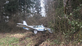 Pilot hurt after small plane crash near Yelm airport