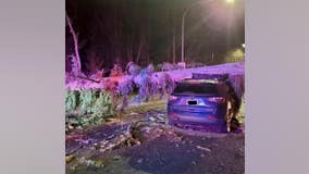 High winds knock down trees, cause power outages across Puget Sound