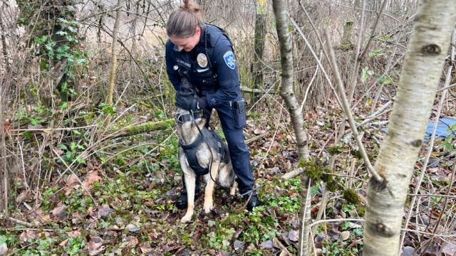 K9, patrol plane lead to arrest of suspected car thief who ran from police, hid in the woods