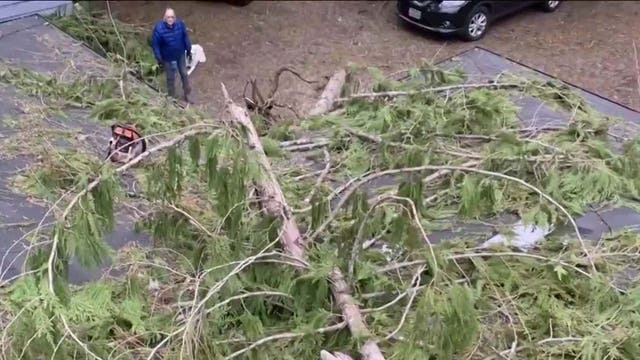 Big cleanup after damaging windstorm knocks down trees, power lines in east King County