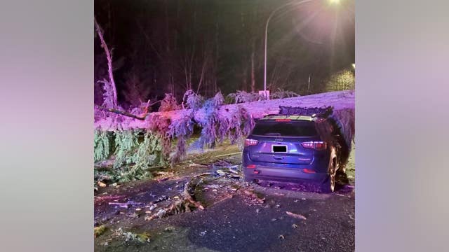High winds knock down trees, cause power outages across Puget Sound