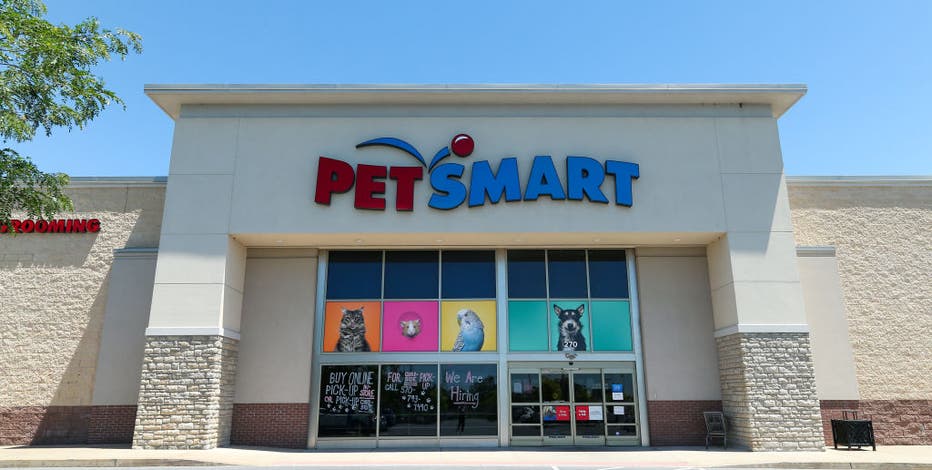 PetSmart searching for cat and dog 'chief toy testers,' offering $10,000  each