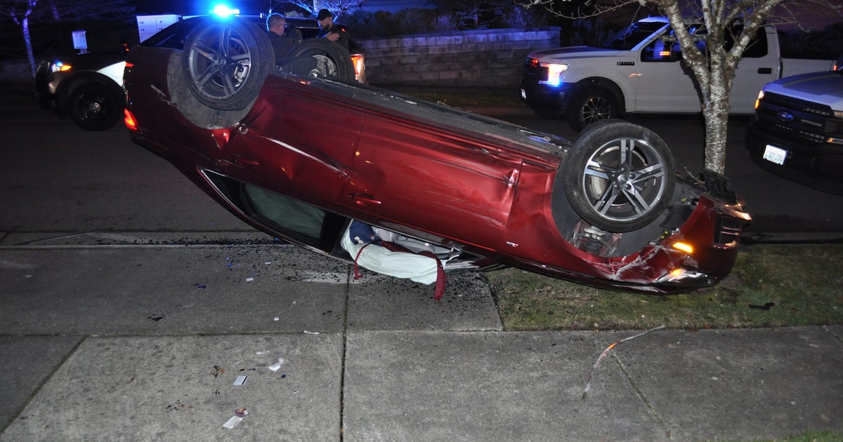 Suspect flips stolen car with puppy inside after police chase in ...