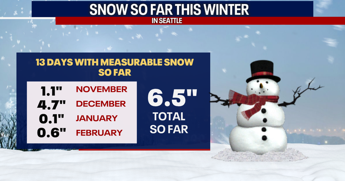Seattle weather: Lowland snow possible in the mornings this week | FOX ...