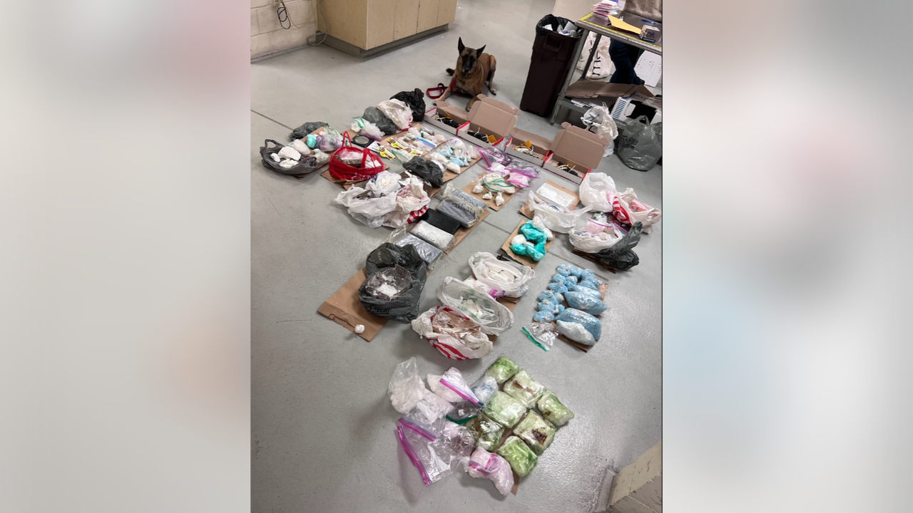 More Than 22m Worth Of Drugs Seized 2 Arrested In Renton Drug Bust Fox 13 Seattle