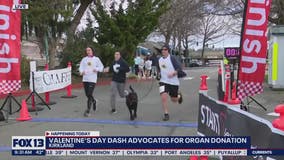 Kirkland's Valentine's Day Dash at Marina Park brings awareness on organ donations