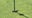 Watch: Venomous snake pops out of hole, surprising golfers
