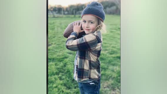 California mountain lion cub picked the wrong 5-year-old 'to mess with,' aunt says