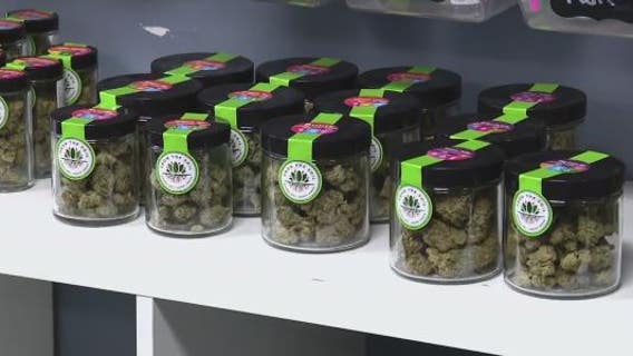 Bill under consideration would increase tax on high-potency cannabis in Washington