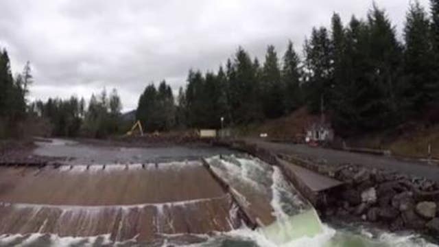 Dam owner pleads guilty in field turf pollution of Puyallup River