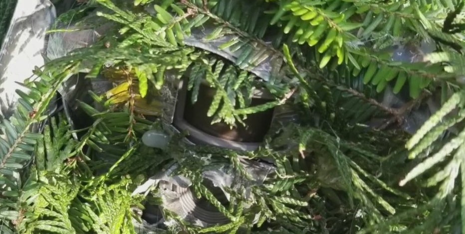 Residents rattled by hidden cameras discovered in front of homes in Washington neighborhood