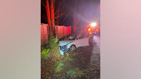 Sheriff: Man crashes car into tree in Bremerton, tries to punch firefighter and kick deputy