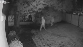 Sammamish residents worried after neighbor chases would be burglar off his property