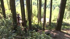 You can enjoy Washington State Parks for free on March 9 and other dates in 2023