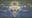 West favorites LAFC and Seattle play to 0-0 stalemate