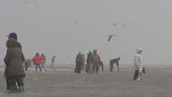 With toxin threat gone, razor clam digs send hundreds to Washington's coast