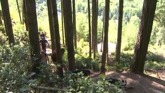 You can enjoy Washington State Parks for free on March 9 and other dates in 2023