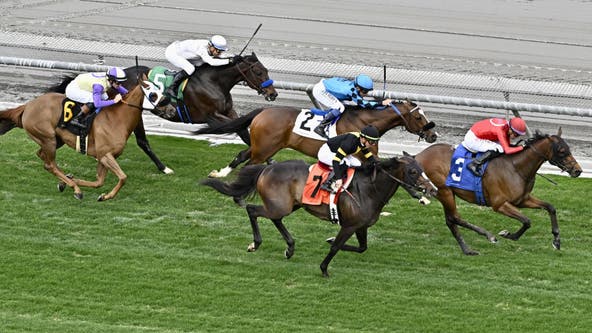 Horse racing's national anti-doping program starts