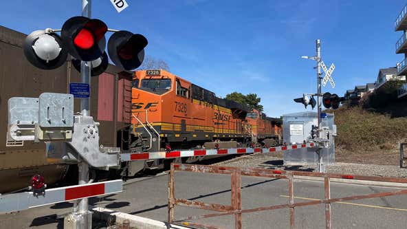 1 dead after being hit, killed by a train in Bellingham