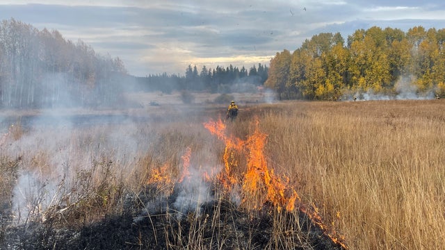 King County burn ban starts June 30
