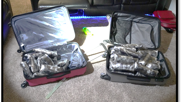 7 people arrested in Seattle connected to national drug trafficking operation