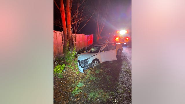 Sheriff: Man crashes car into tree in Bremerton, tries to punch firefighter and kick deputy