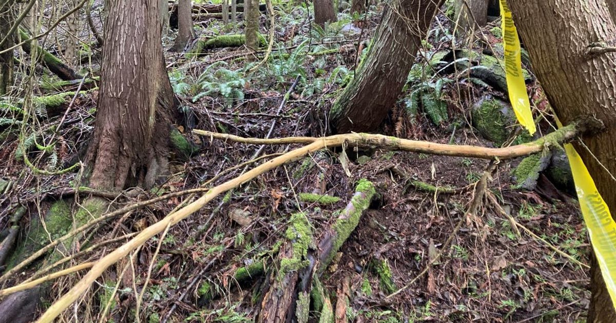 Human remains found in wooded area in Pierce County | FOX 13 Seattle